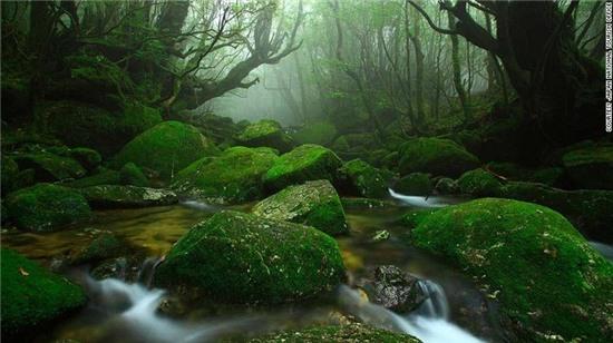 Da Lat vao top diem den tuyet voi it nguoi biet o chau A hinh anh 2