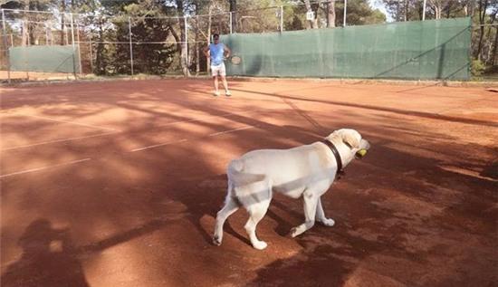 khoanh khac khien anh em nguong "chin mat" hinh anh 12