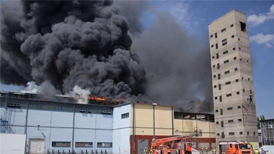 Chay lon canh cho Dong Xuan o Berlin hinh anh 1