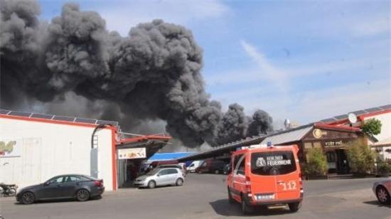 Chay lon canh cho Dong Xuan o Berlin hinh anh 2