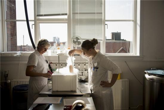 Hoat dong ben trong ngan hang tinh trung lon nhat the gioi hinh anh 2