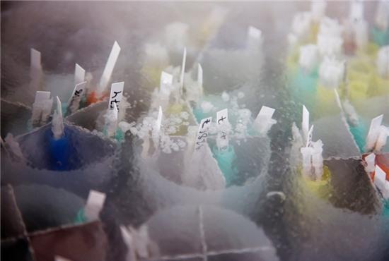 Hoat dong ben trong ngan hang tinh trung lon nhat the gioi hinh anh 3