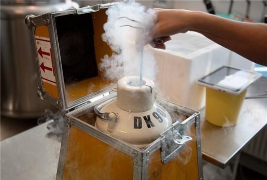 Hoat dong ben trong ngan hang tinh trung lon nhat the gioi hinh anh 4