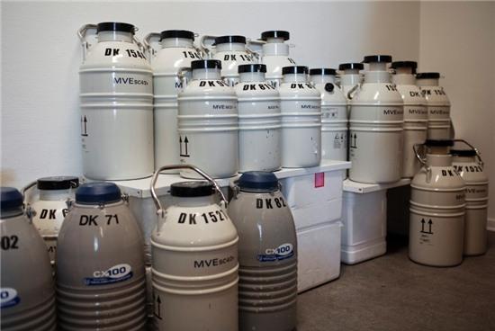 Hoat dong ben trong ngan hang tinh trung lon nhat the gioi hinh anh 9