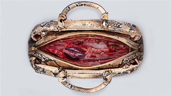 Thời trang đồ da: đẹp, sành điệu nhưng cũng là máu, là thịt, là mạng sống - Ảnh 3.