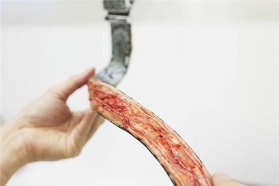 Thời trang đồ da: đẹp, sành điệu nhưng cũng là máu, là thịt, là mạng sống - Ảnh 9.