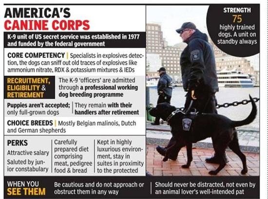 dieu it biet ve cho nghiep vu k-9 bao ve ong obama o nuoc ngoai hinh anh 2