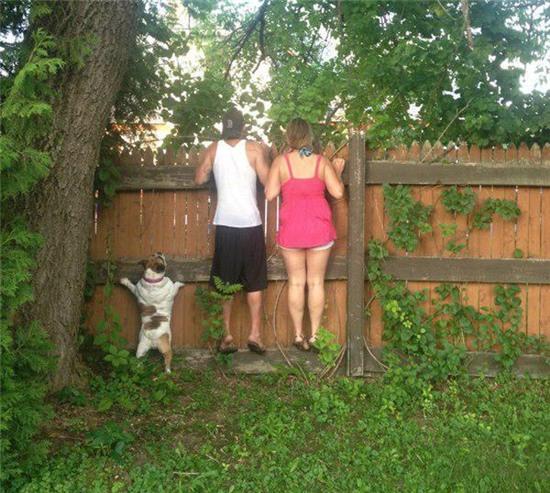 u uoi, "gau" cua thim nao ma nghich the! hinh anh 11