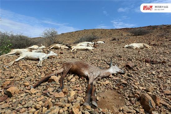 Thêm loạt ảnh Khi mẹ thiên nhiên nổi giận khiến hàng triệu người rùng mình - Ảnh 3.