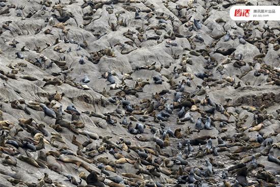 Thêm loạt ảnh Khi mẹ thiên nhiên nổi giận khiến hàng triệu người rùng mình - Ảnh 9.