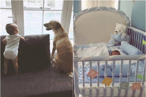 Bé Richard, con trai Hà Tăng được bố mẹ vô cùng chiều chuộng và chăm sóc chu đáo.