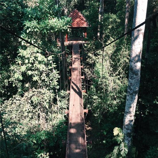 Đừng chỉ biết tới Bangkok khi qua Thái, bởi còn có 1 chốn thiên đường cực đẹp là Trang Province! - Ảnh 25.