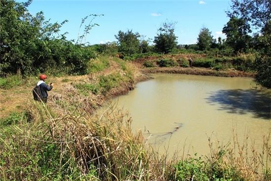 Ông uống thuốc diệt cỏ tự tử vì sơ ý để cháu bị đuối nước