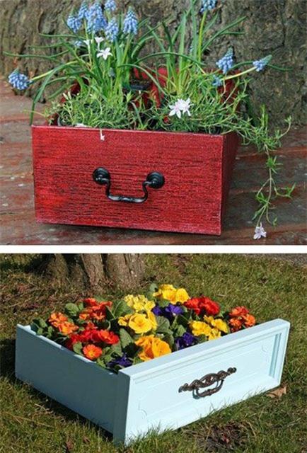 nhung y tuong gieo trong