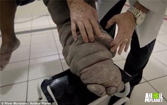 chan phu nhu chan voi vi muoi dot tu 20 nam truoc hinh anh 2