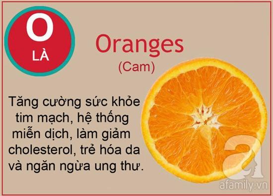 tac dung cua cac loai qua tu a den z