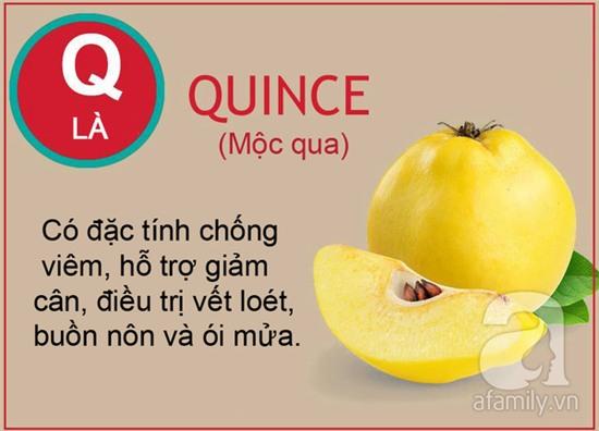 tac dung cua cac loai qua tu a den z