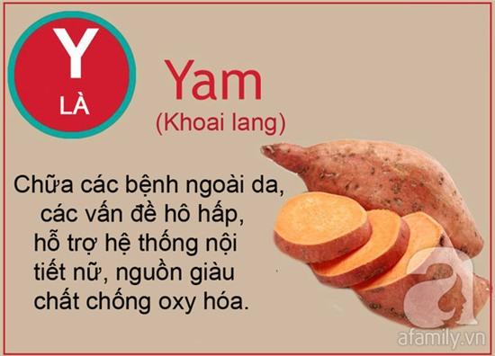 thuc pham tu a den z