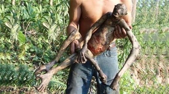 sinh-vat-ky-la-giong-nguoi