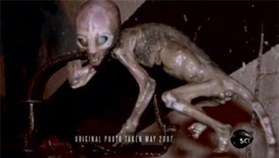 sinh-vat-ky-la-giong-nguoi