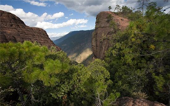 Mỗi khi cảm thấy tuyệt vọng, hãy xem đoạn clip chú dê hai chân tập đi này - Ảnh 2.