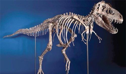 5 sa mac nong bong kinh hoang nhat the gioi hinh anh 8