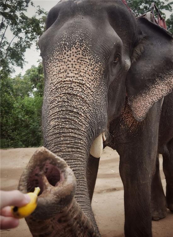 Nhung khoanh khac doi thuong o Thai Lan hinh anh 7