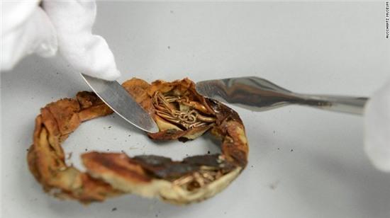 nhan vien bao tang phat hien bi mat giau duoi day coc hon 70 nam hinh anh 3