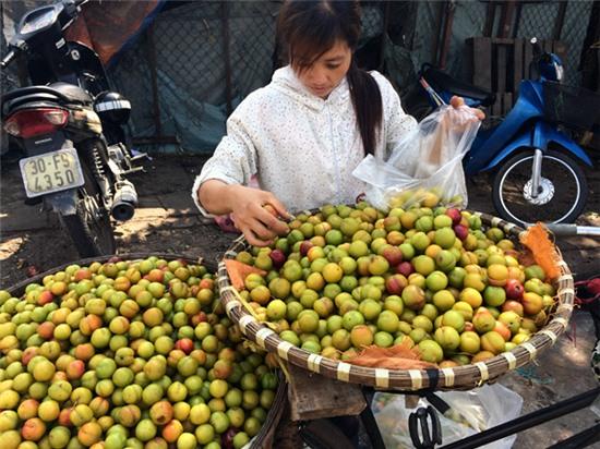 4.000 tấn mận Tàu về Việt Nam: Chị em mời nhau ăn hết - Ảnh 3.