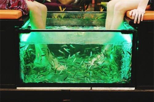 anh dep ve cuoc song thuong ngay day thu vi o thai lan hinh anh 13