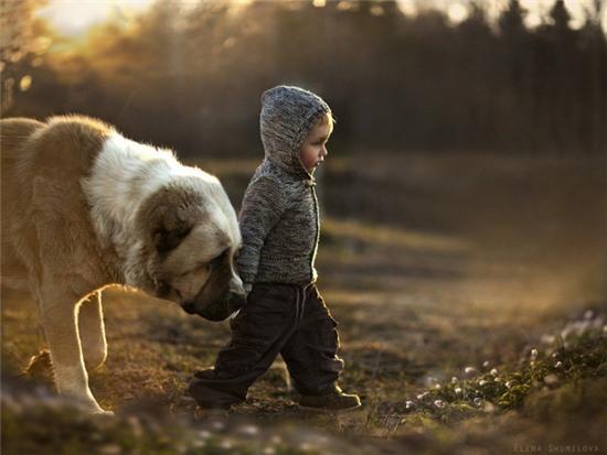 Bức ảnh Niềm hạnh phúc cuối cùng của chú chó già khiến nhiều người bật khóc - Ảnh 1.