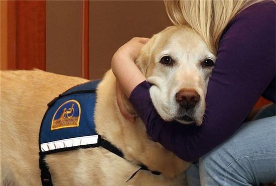 Những chú chó khiến cả thế giới phải nể phục - Ảnh 5.