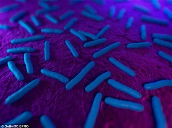 Cơn ác mộng của loài người đã đến: vi khuẩn kháng tất cả các loại thuốc được phát hiện tại Mỹ - Ảnh 2.