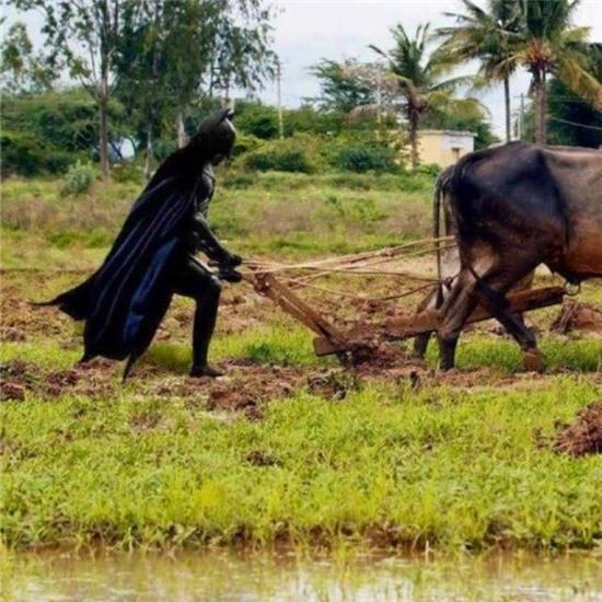 15 hinh anh "kho tin" nhat qua dat hinh anh 7