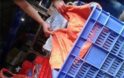 kinh hai thit lon xay 20.000 dong/kg hinh anh 3