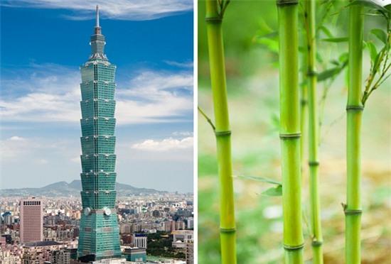 y-tuong-thiet-ke-nha-choc-troi