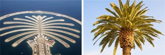 y-tuong-thiet-ke-nha-choc-troi