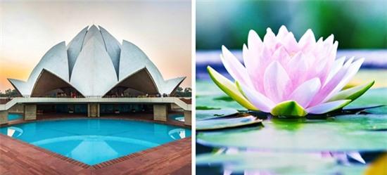 y-tuong-thiet-ke-nha-choc-troi