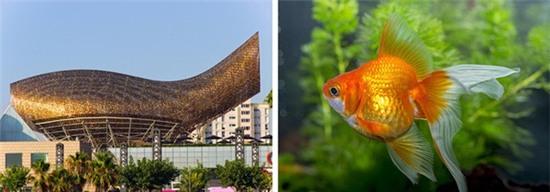 y-tuong-thiet-ke-nha-choc-troi