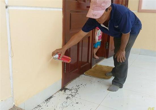 Hàng nghìn con bọ đậu đen tấn công nhà dân - Ảnh 1.