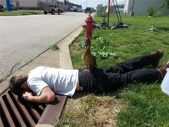 khi loai nguoi lam nhung viec "khong tuong" hinh anh 10