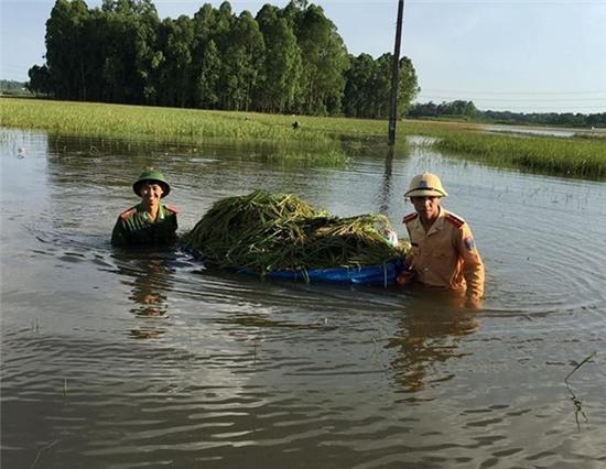 Công an Sông Lô mặc quân phục gặt lúa giúp dân gây tranh cãi