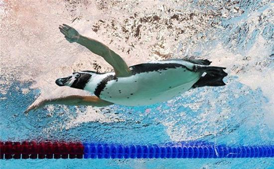 oi gioi, "quai vat" la co that ba con oi! hinh anh 5