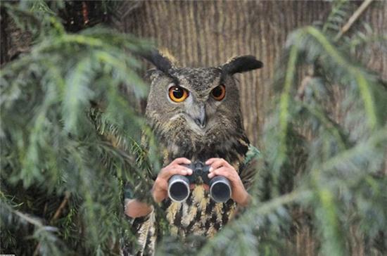 oi gioi, "quai vat" la co that ba con oi! hinh anh 8