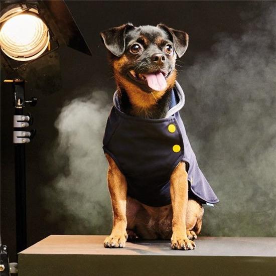 nhung chu cun sanh dieu voi hang hieu hinh anh 13