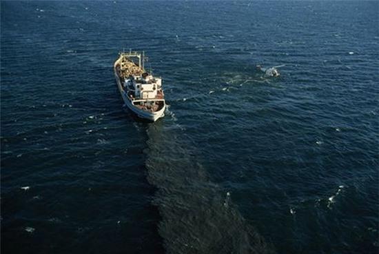 Bạn sẽ giật mình khi biết đến cách con người đã hủy hoại sinh vật biển - Ảnh 8.