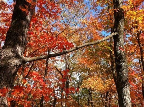 Tổng hợp 20 hình ảnh kỳ cục bắt lú bạn từ đầu đến cuối - Ảnh 7.