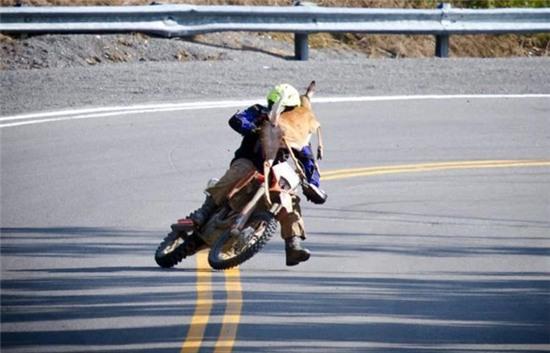 nhung pha tai nan "thon den tan ron" hinh anh 4