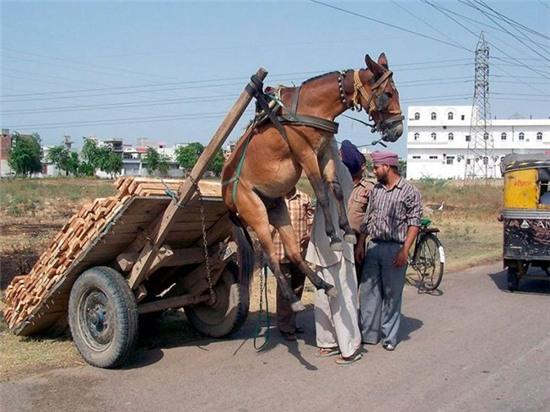nhung pha tai nan "thon den tan ron" hinh anh 8
