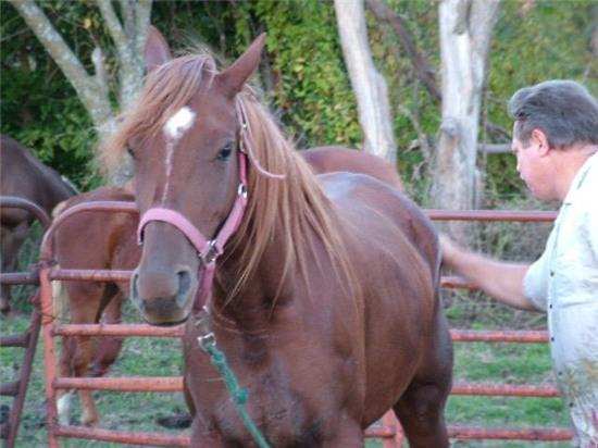 cuoc doi binh di cua nguoi co iq cao hon ca einstein hinh anh 5